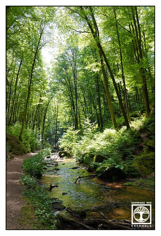 Karlstal, Fluss Wald, Bach Wald, Wald Sommer, Pfalz, Pfalzliebe