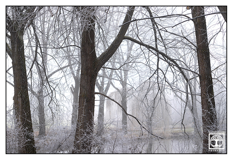 Frost auf den Bäumen, verschneite Bäume, Winterbäume, Winterwald, Wald Winter, Althegnenberg