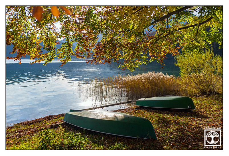autumn lake, Walchensee, boat lake autumn