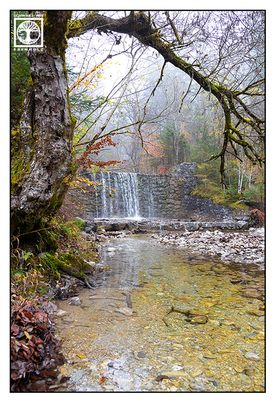 foggy forest, fog, autumn forest, autumn trees, waterfall fog, waterfall autumn, beck autumn, river autumn, Kochel, Laibach waterfalls, Kochel waterfall