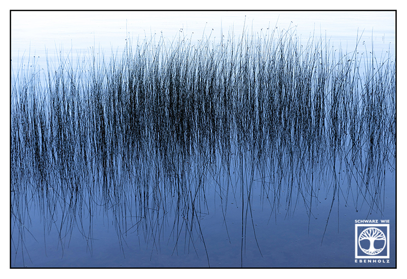 point line area photography, abstract photography, abstract photo, reed water, lines, line art
