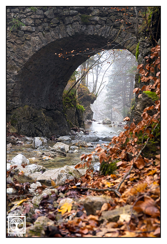 foggy forest, fog, autumn forest, autumn trees, bridge autumn, Laibach waterfalls, Laibach, Kochel