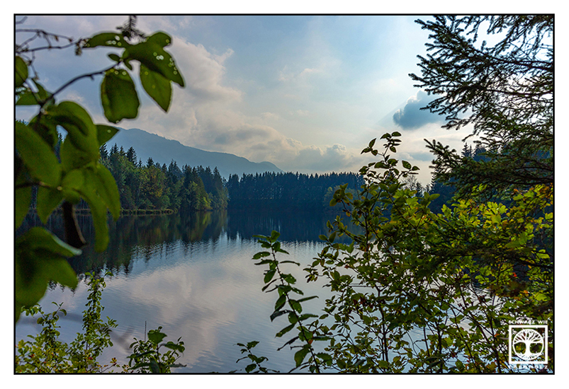 Wies, lake, forest lake, Bavaria, mountain lake