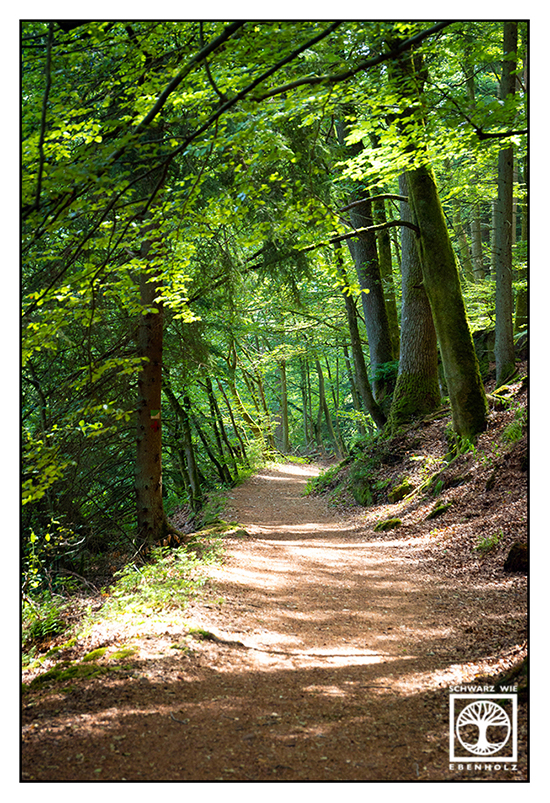 Karlstal, Pfalz, forest, path, summer forest