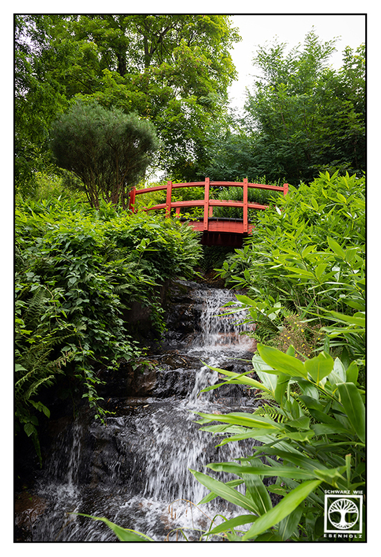 Japanese Garden Kaiserslautern, red bridge, waterfall