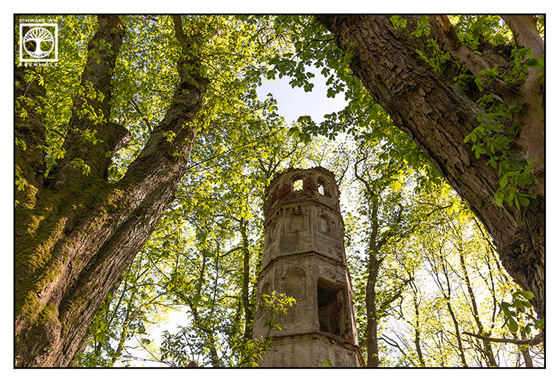 Turm, Wald, Ruine, Blumenthal