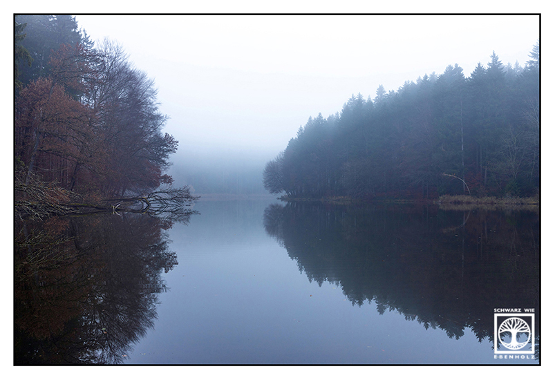 Thanninger Weiher, Thanning, autumn lake, foggy lake, lake fog, reflections lake, reflection water, reflection trees