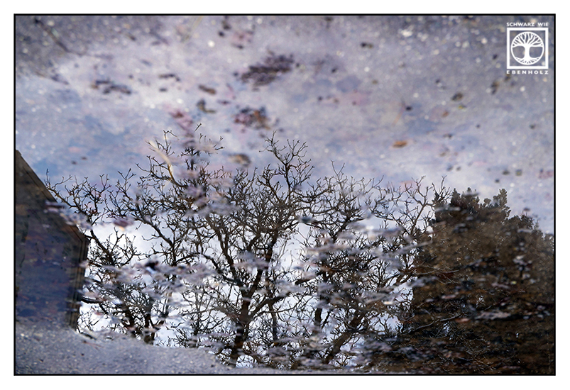 reflections water, reflections puddle, surrealism, surreal photo, surreal photography, puddle, rain, rainy day
